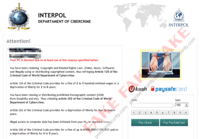 interpol cybercrime skype